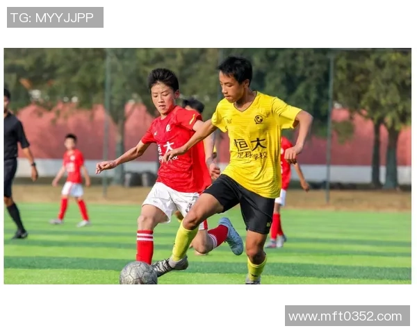 学校体育设施丰富多样足球与篮球数量对比分析