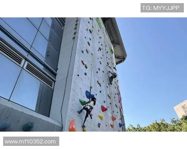 广州攀岩队的节奏与挑战探索攀岩运动的魅力与团队精神